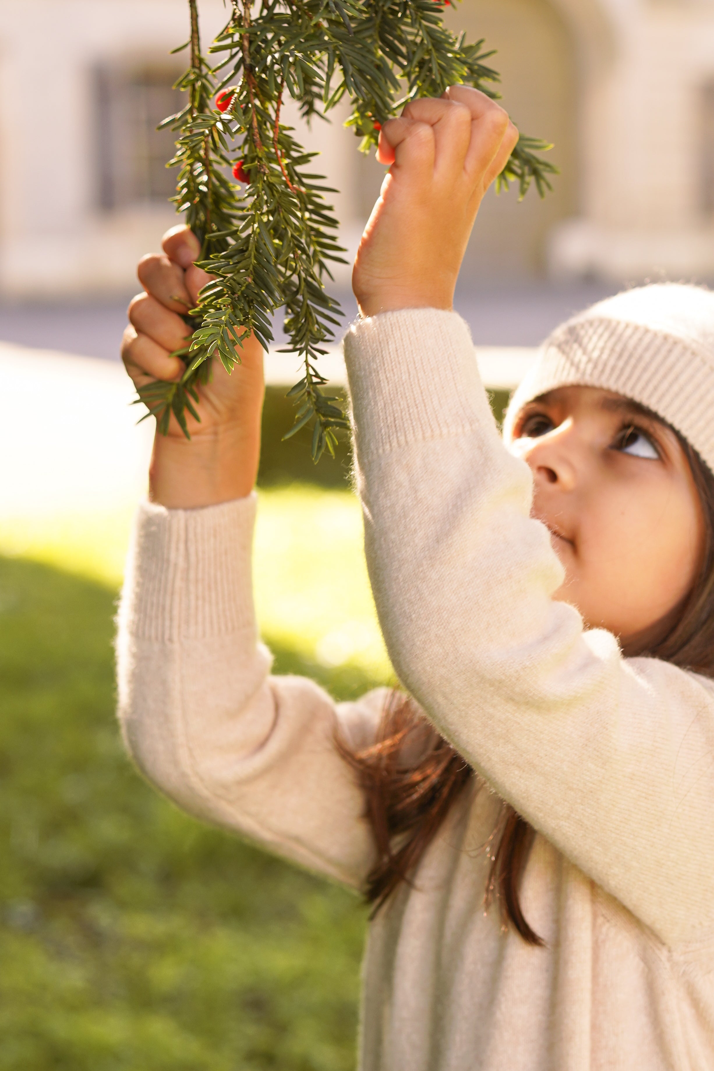 Pure Cashmere Sweater – Unisex