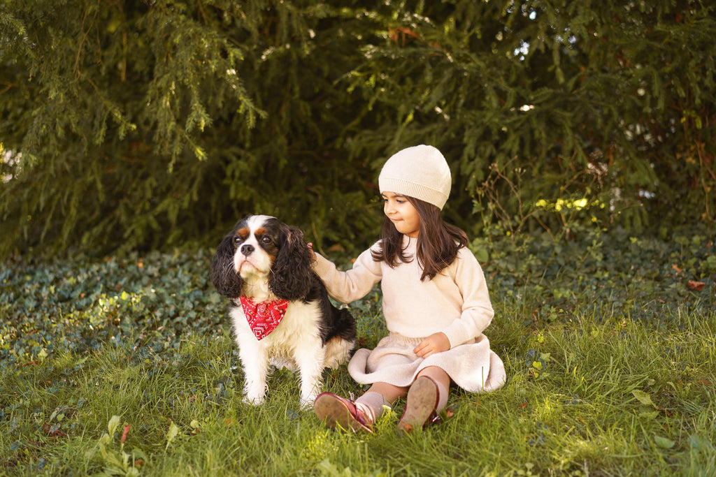 Pure Cashmere Sweater – Unisex