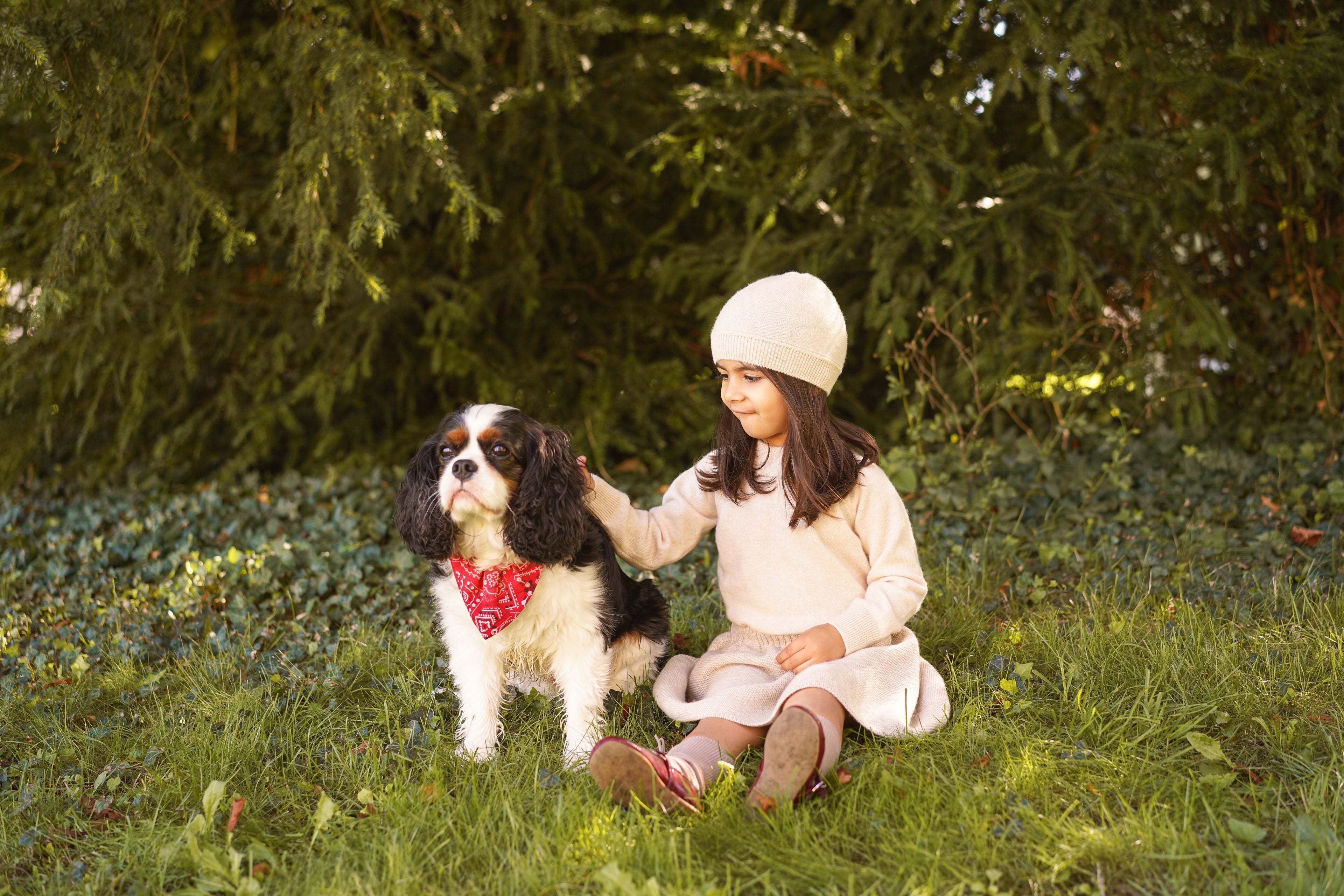 Pure Cashmere Sweater – Unisex